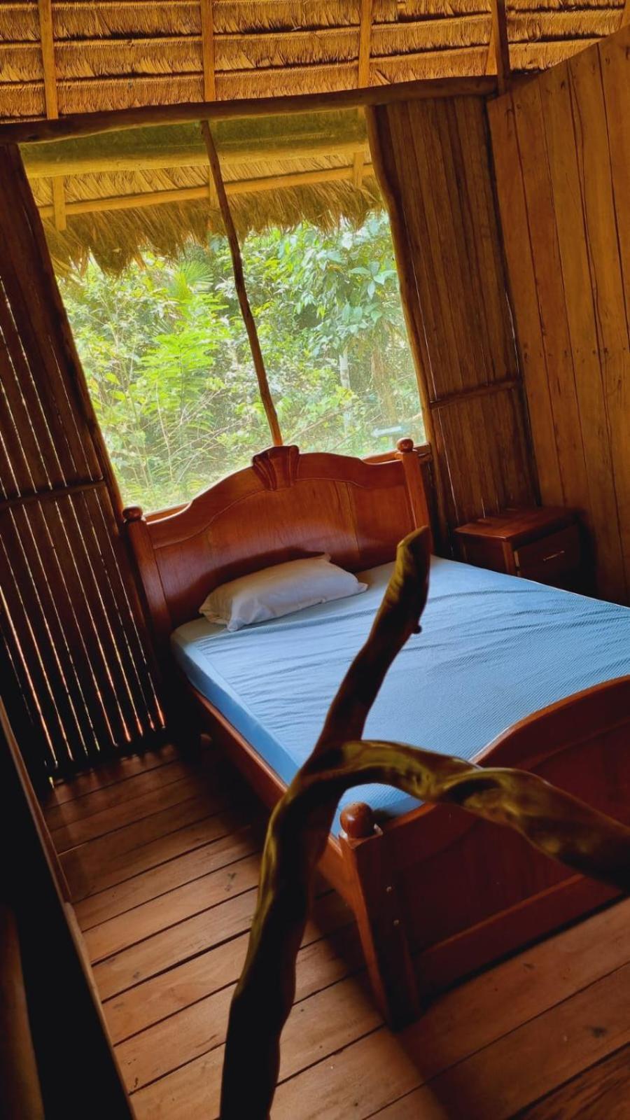 Castana Amazon Park Vandrarhem Puerto Maldonado Exteriör bild