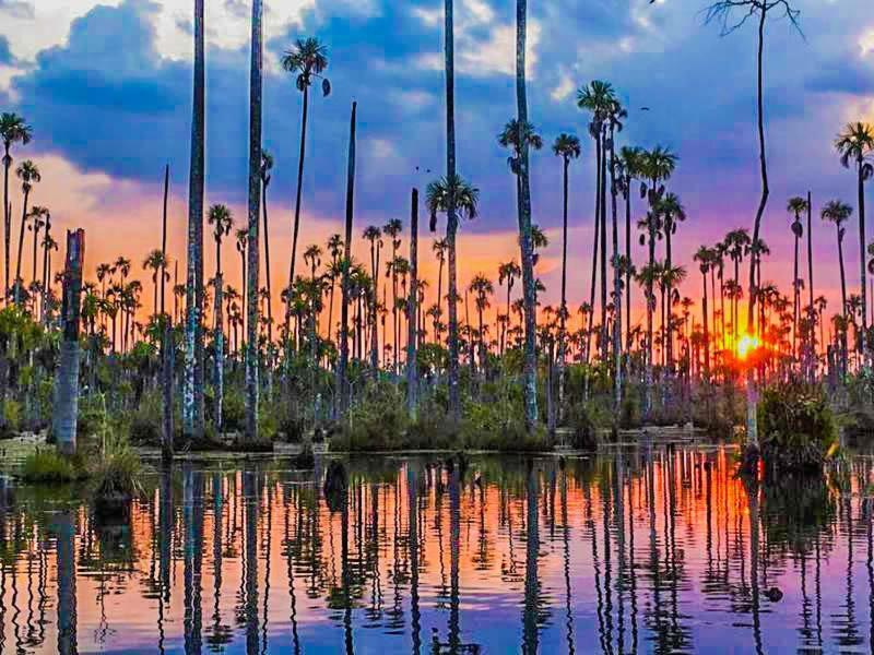 Castana Amazon Park Vandrarhem Puerto Maldonado Exteriör bild