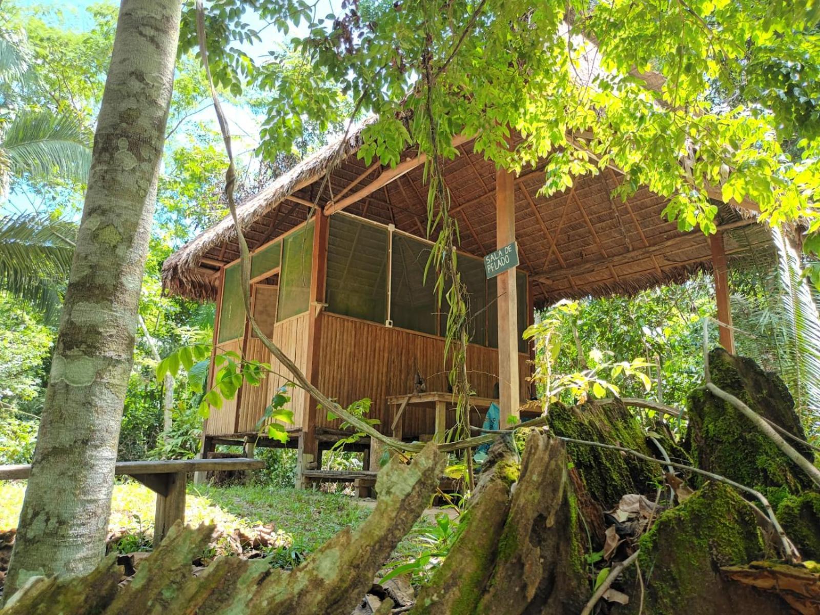 Castana Amazon Park Vandrarhem Puerto Maldonado Exteriör bild
