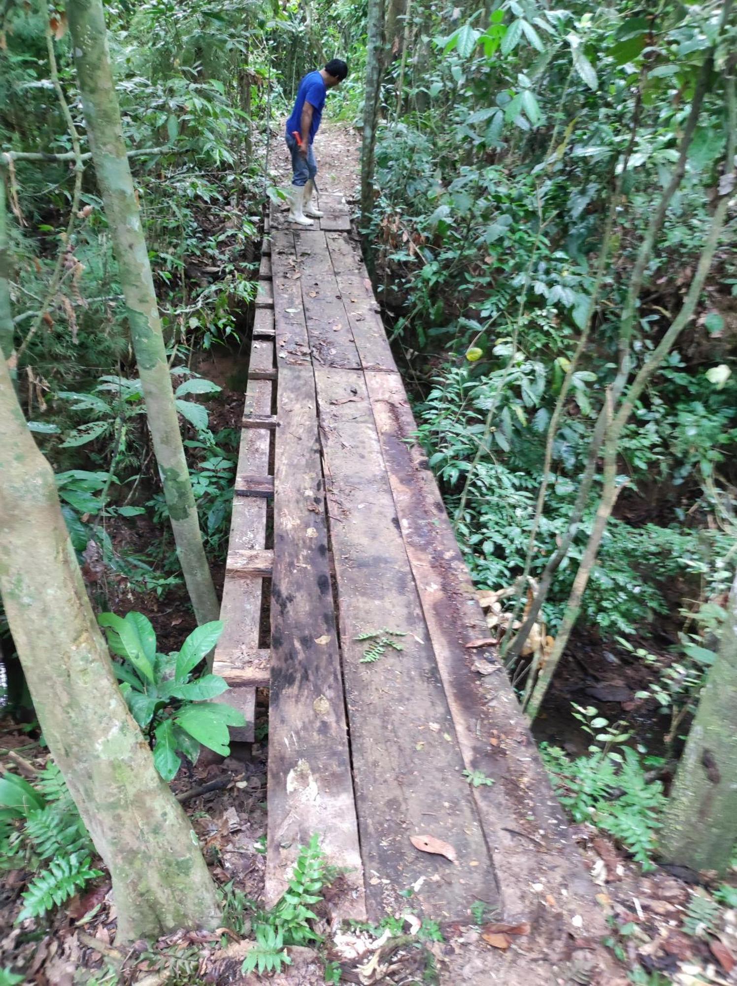 Castana Amazon Park Vandrarhem Puerto Maldonado Exteriör bild