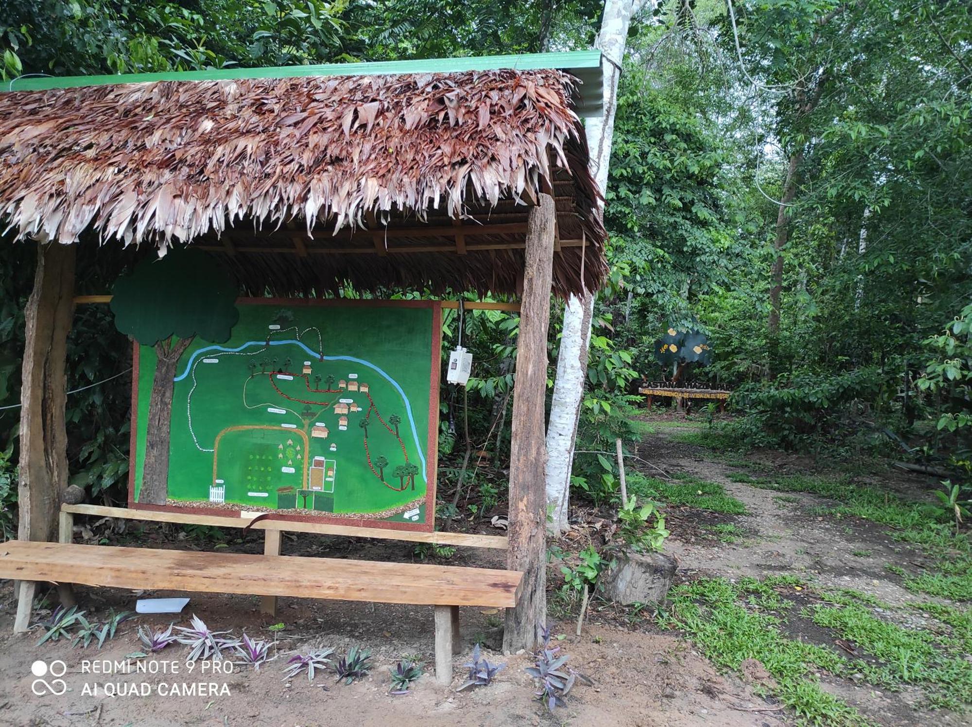 Castana Amazon Park Vandrarhem Puerto Maldonado Exteriör bild